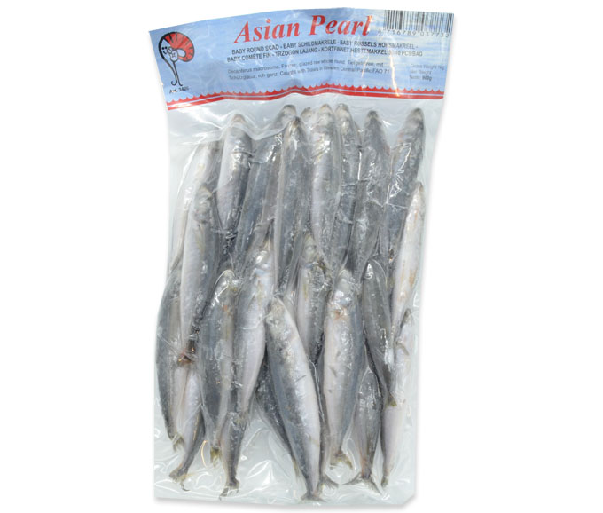 [ASIA-3011] Asian Pearl Torpedo Hors
