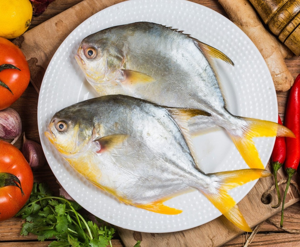 [DAIR-3032] Asian Choice Golden Pomfret Wr Iwp 400G/ 600g
