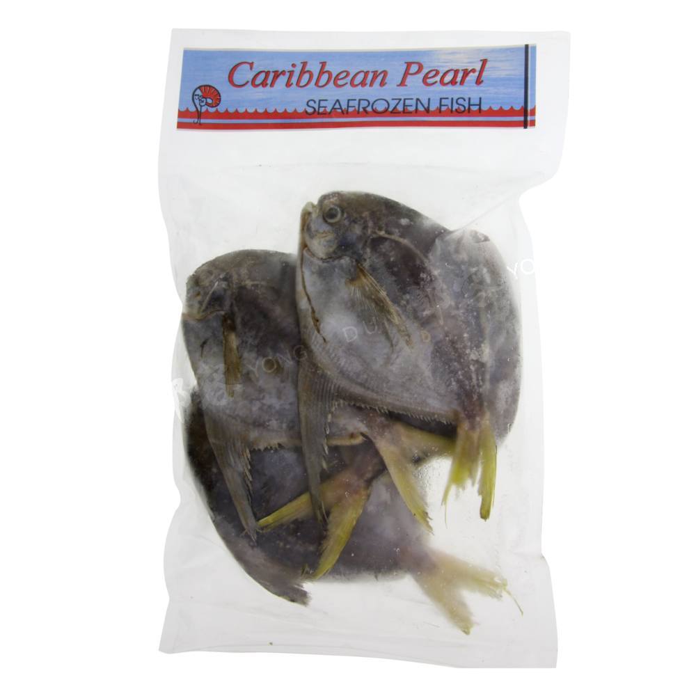 Asian Pearl Silver Pomfret