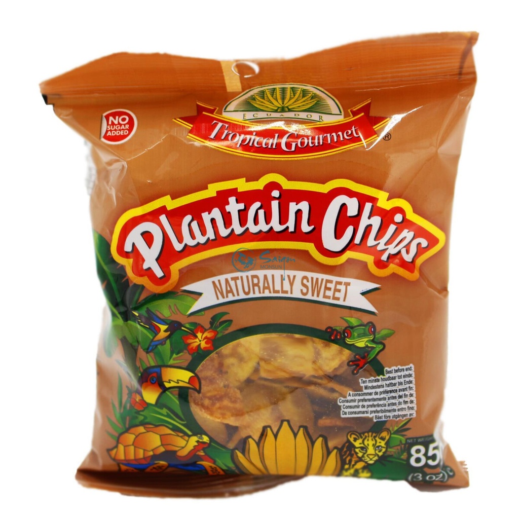 [SNCK-1013] Tropical Gourmet Plantain Banana Chips Naturally Sweet 20x85g