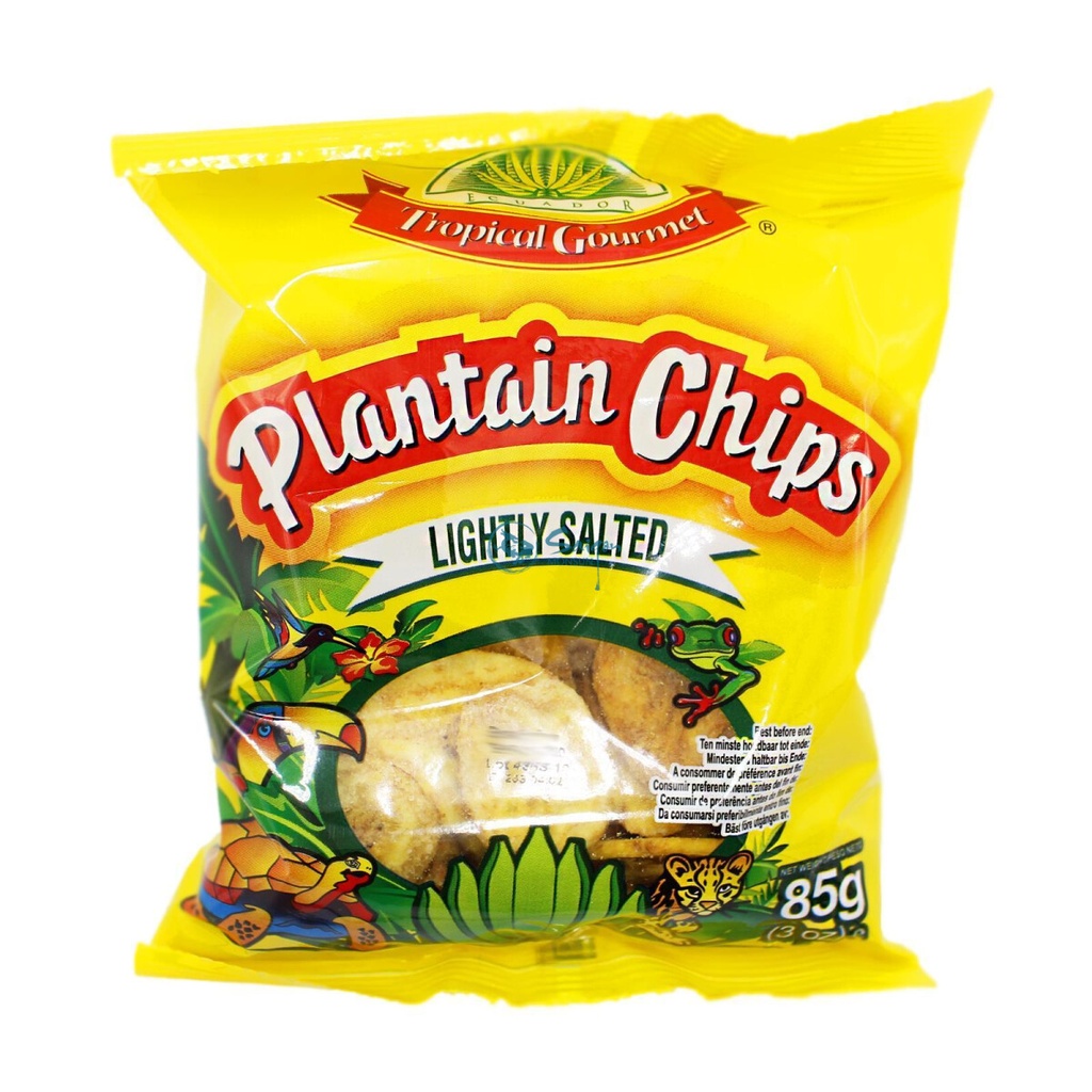 Tropical Gourmet Plantain Chips Lightly Salted 85g