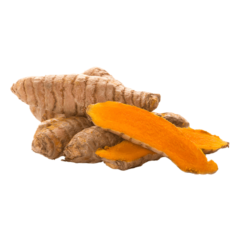 [FRES-1007] Fresh Turmeric Root (Haldi) from India