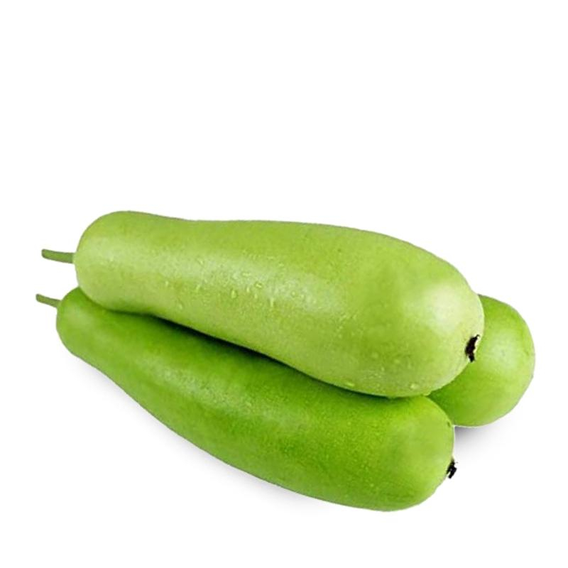 [FRES-1011] Fresh Bottle Gourd (Dudhi/Lauki) from India
