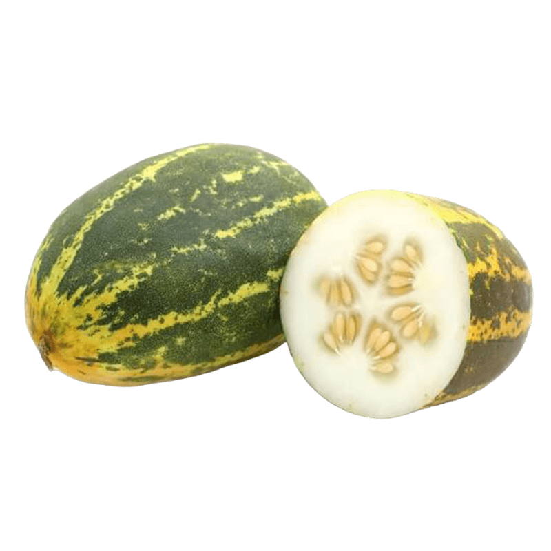 [FRES-1012] Fresh Madras Cucumber from India