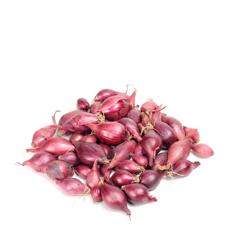 [FRES-1017] Fresh Small Onion (Shallots) from Sri Lanka