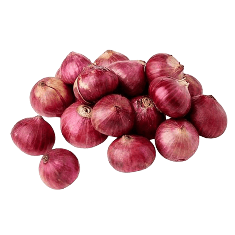 [FRES-1018] Fresh Big Onion from Sri Lanka