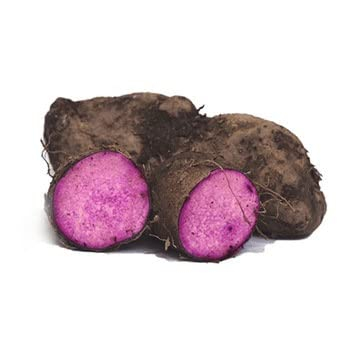[FRES-1020] Fresh Purple Yam (Rasawalli/Kand) from Sri Lanka