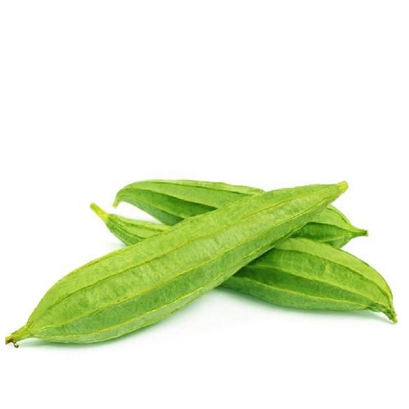 [FRES-1024] Fresh Snake Gourd from Sri Lanka