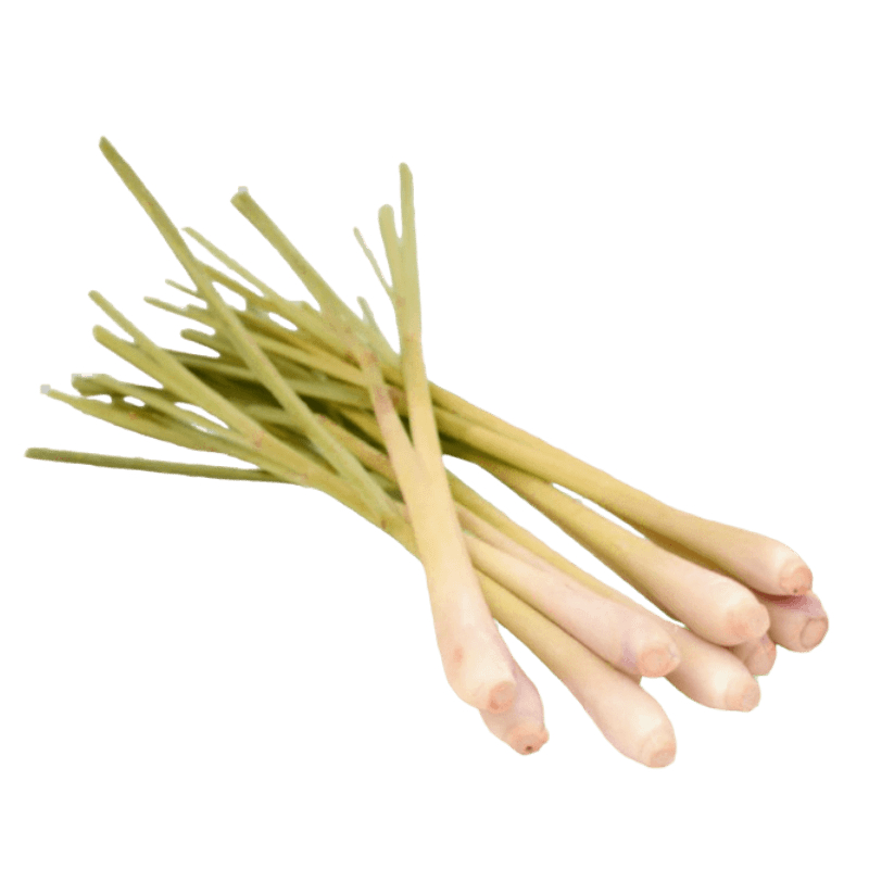 [FRES-1039] Fresh Lemongrass from Malaysia