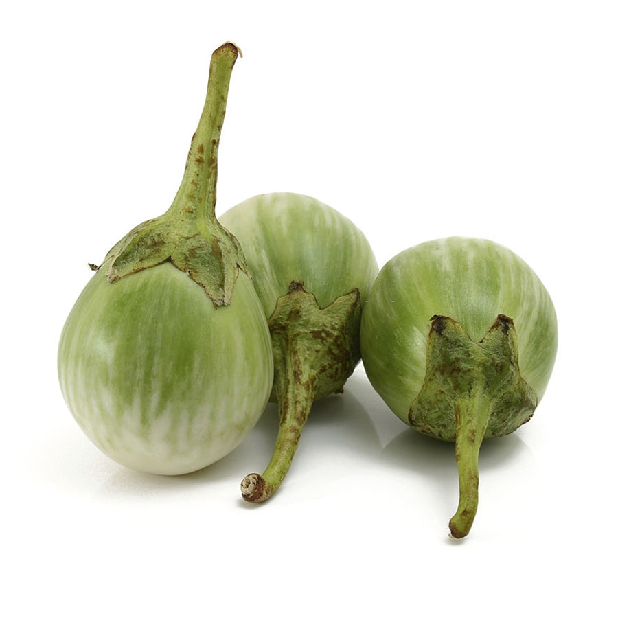 [FRES-1040] Fresh Mini Eggplant from Dominican Republic