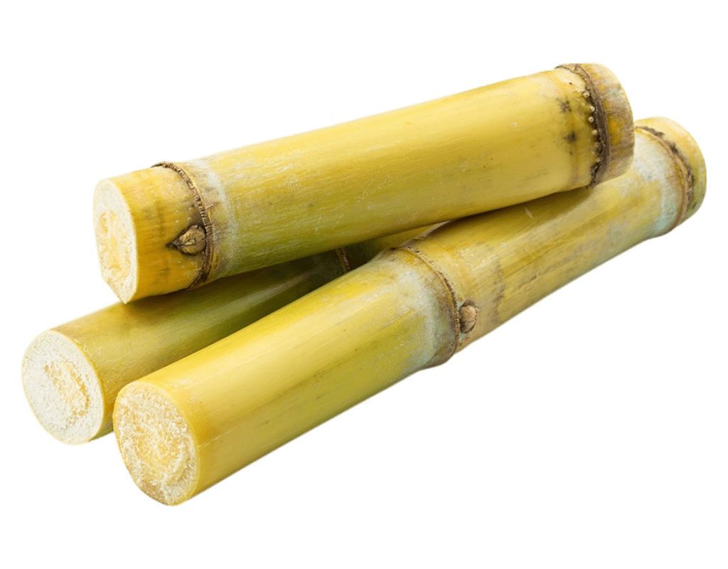 [FRES-1046] Fresh Sugarcane from Uganda
