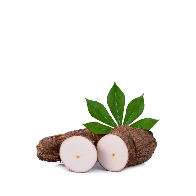 [FRES-1051] Fresh Cassava from Honduras