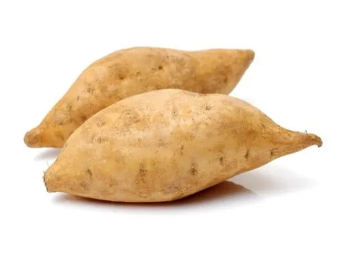[FRES-1052] Fresh Sweet Potato from Honduras