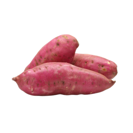 [FRES-1053] Fresh Red Sweet Potato from Honduras
