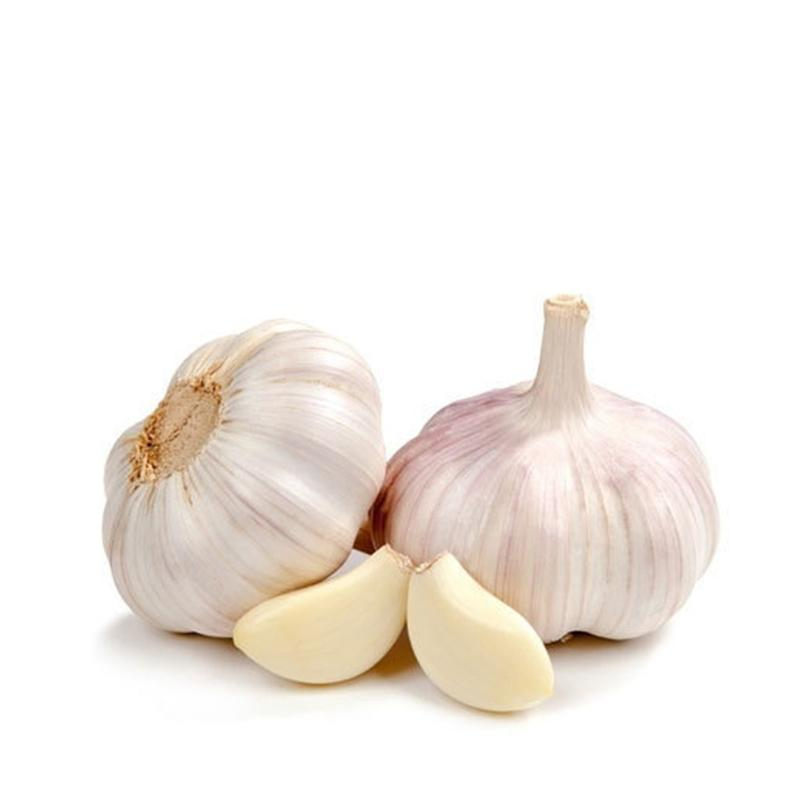 [FRES-1059] Fresh Garlic from Honduras