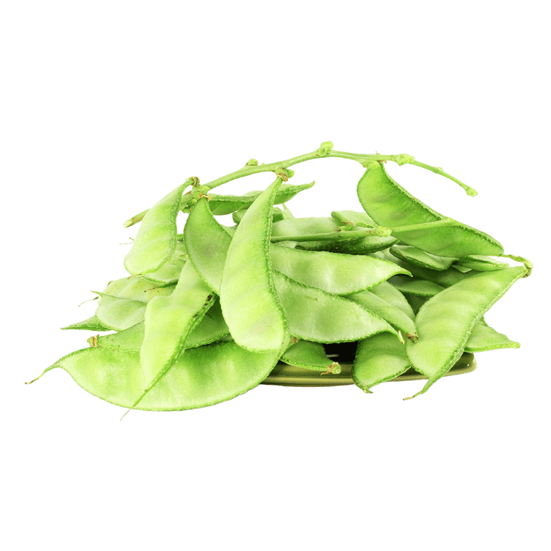 [FRES-1070] Fresh Sword Beans (Sheem) from Bangladesh