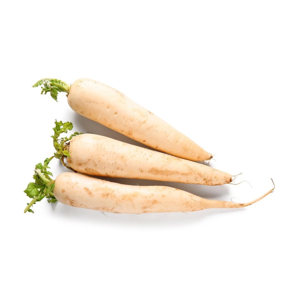 Fresh White Radish (Mura/Mooli) from Bangladesh