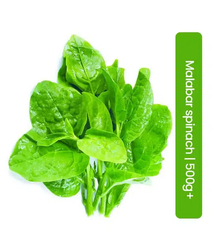 [FRES-1073] Fresh Malabar Spinach (Pui Sag) from Italy