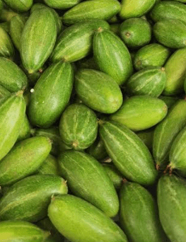 Fresh Pointed Gourd (Potol/Parwal) from Bangladesh