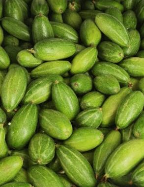 [FRES-1075] Fresh Pointed Gourd (Potol/Parwal) from India