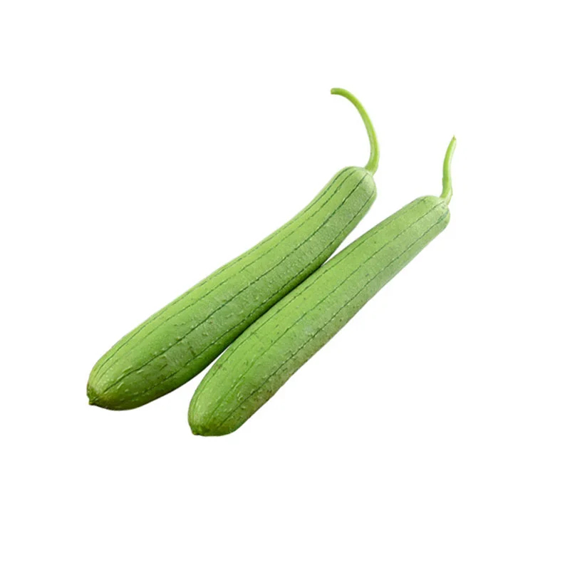 [FRES-1078] Fresh Sponge Gourd (Jali) from Bangladesh