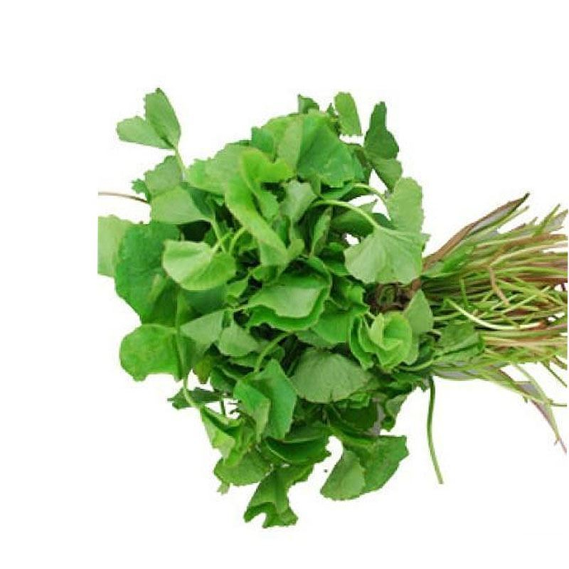 [FRES-1080] Fresh Vallarai (Gotu Kola/Brahmi) from India