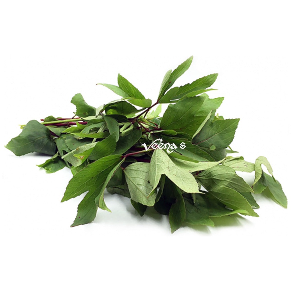 [FRES-1083] Fresh Sorrel Leaves (Gongura/Pulikeerai) from India