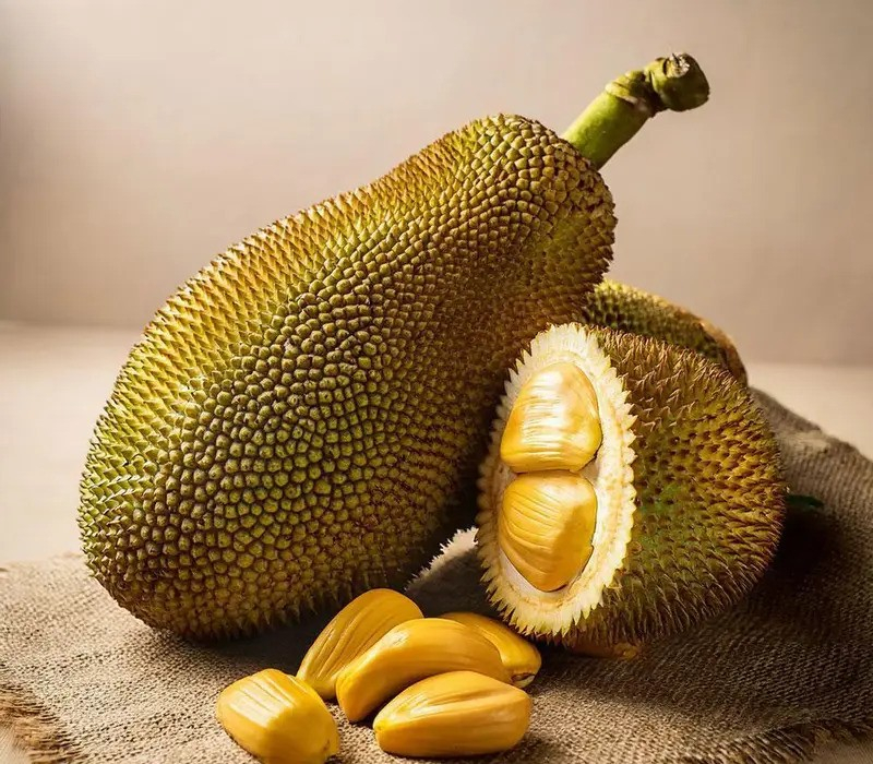 Fresh Jackfruit (Kathal) from Bangladesh