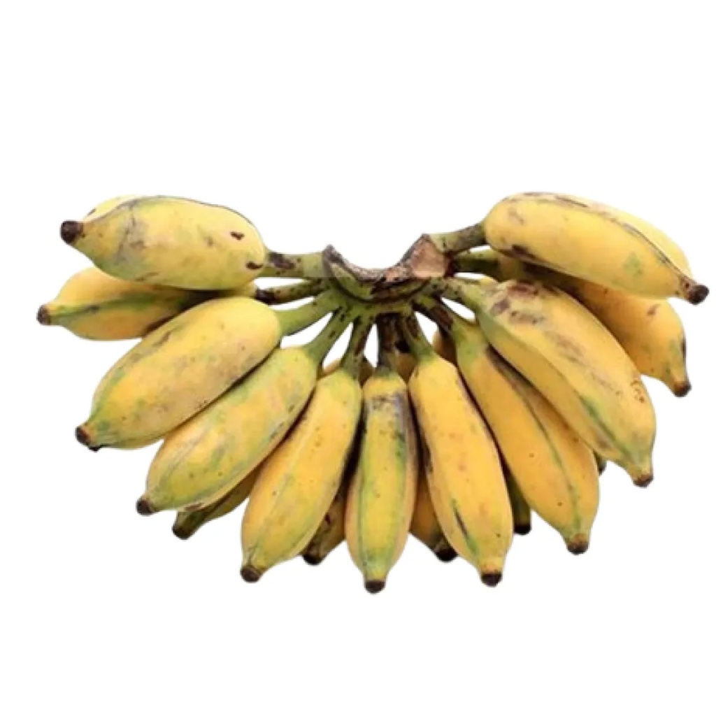 [FRES-2006] Fresh Kerala Banana (Karpooravalli) from Sri Lanka