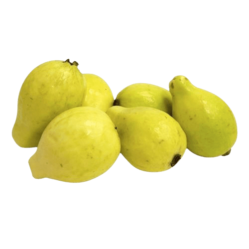 [FRES-2011] Fresh Guava from Egypt