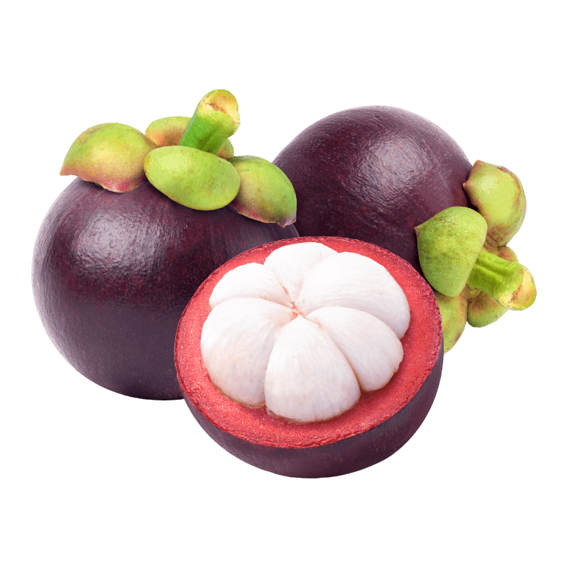 [FRES-2013] Fresh Mangosteen