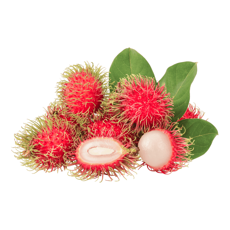 [FRES-2015] Fresh Rambutan from Sri Lanka
