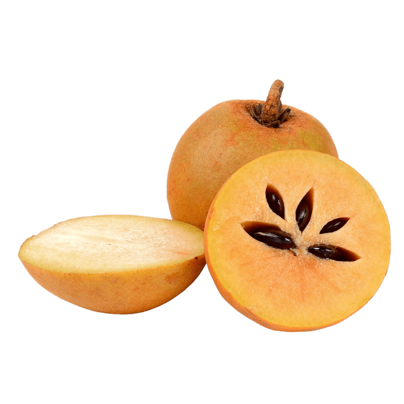 [FRES-2016] Fresh Chikoo (Sapodilla) from India