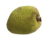 [FRES-2018] Fresh Whole Jackfruit from Mexico