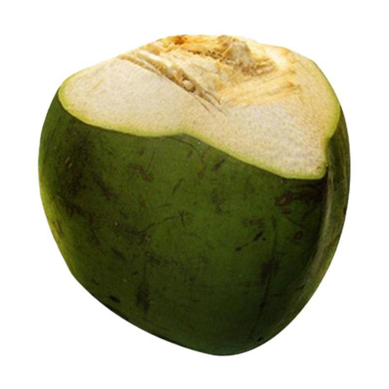[FRES-2020] Fresh Drinking Coconut from Vietnam