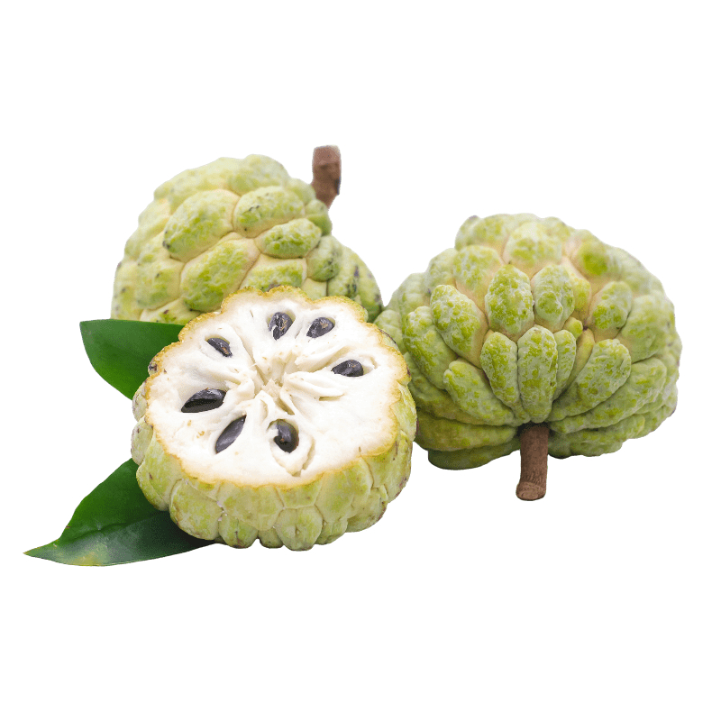 [FRES-2021] Fresh Custard Apple (Atemoya) from India