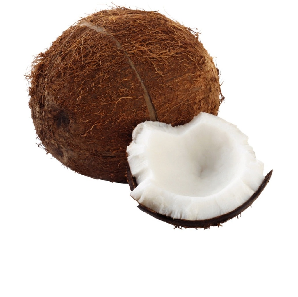 [FRES-2022] Fresh Whole Coconut from Honduras