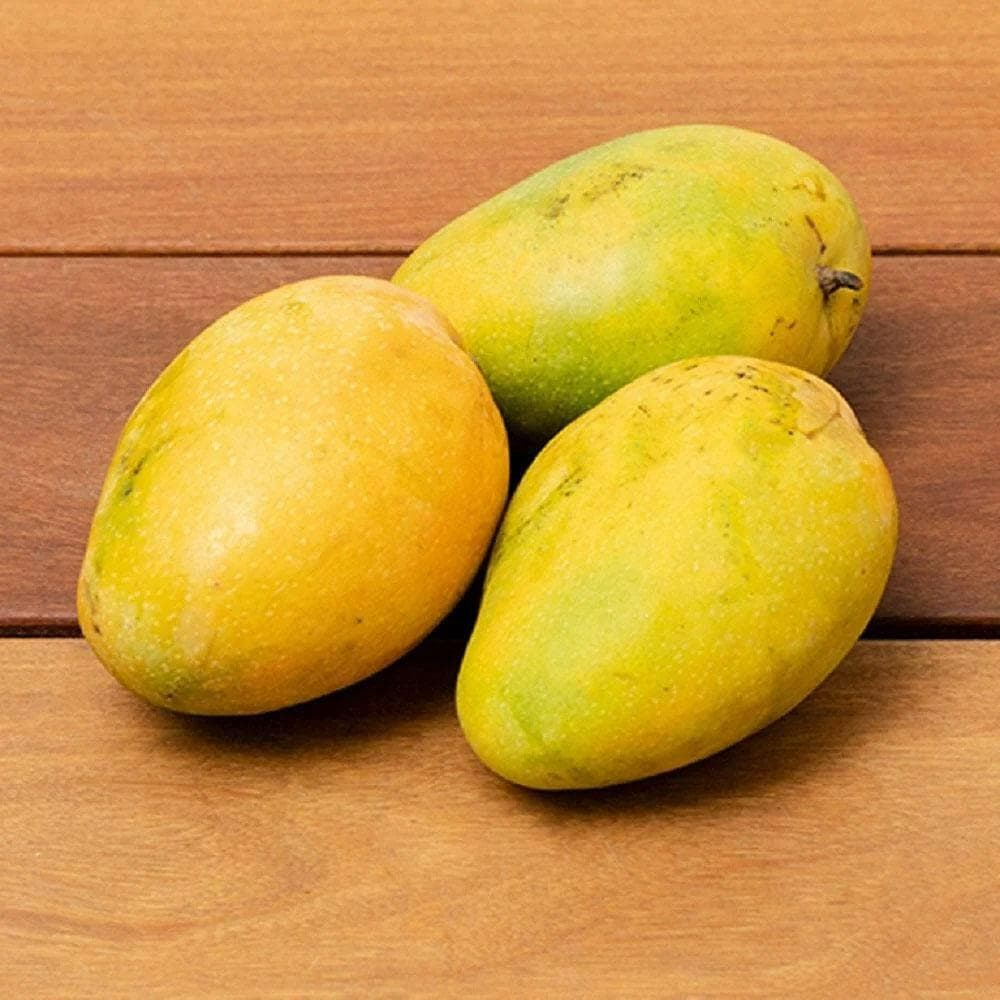 [FRES-2024] Fresh Banganapalli Mango (Padami) from India
