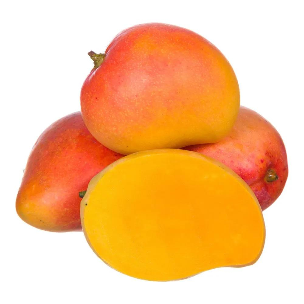 [FRES-2029] Fresh Rosa Mango from Egypt