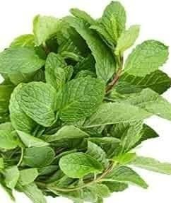 [FRES-3002] Fresh Mint Leaves (Pudina)