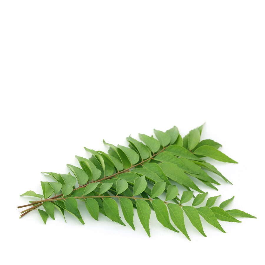 [FRES-3004] Fresh Curry Leaves with Onion Stalks