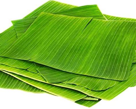 [FRES-3007] Fresh Banana Leaves from Sri Lanka