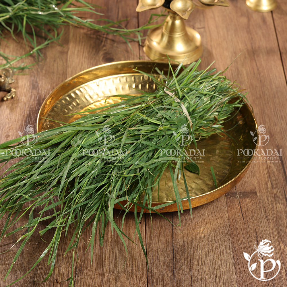 [FRES-3014] Fresh Bermuda Grass (Arugampul/Durva) from Sri Lanka