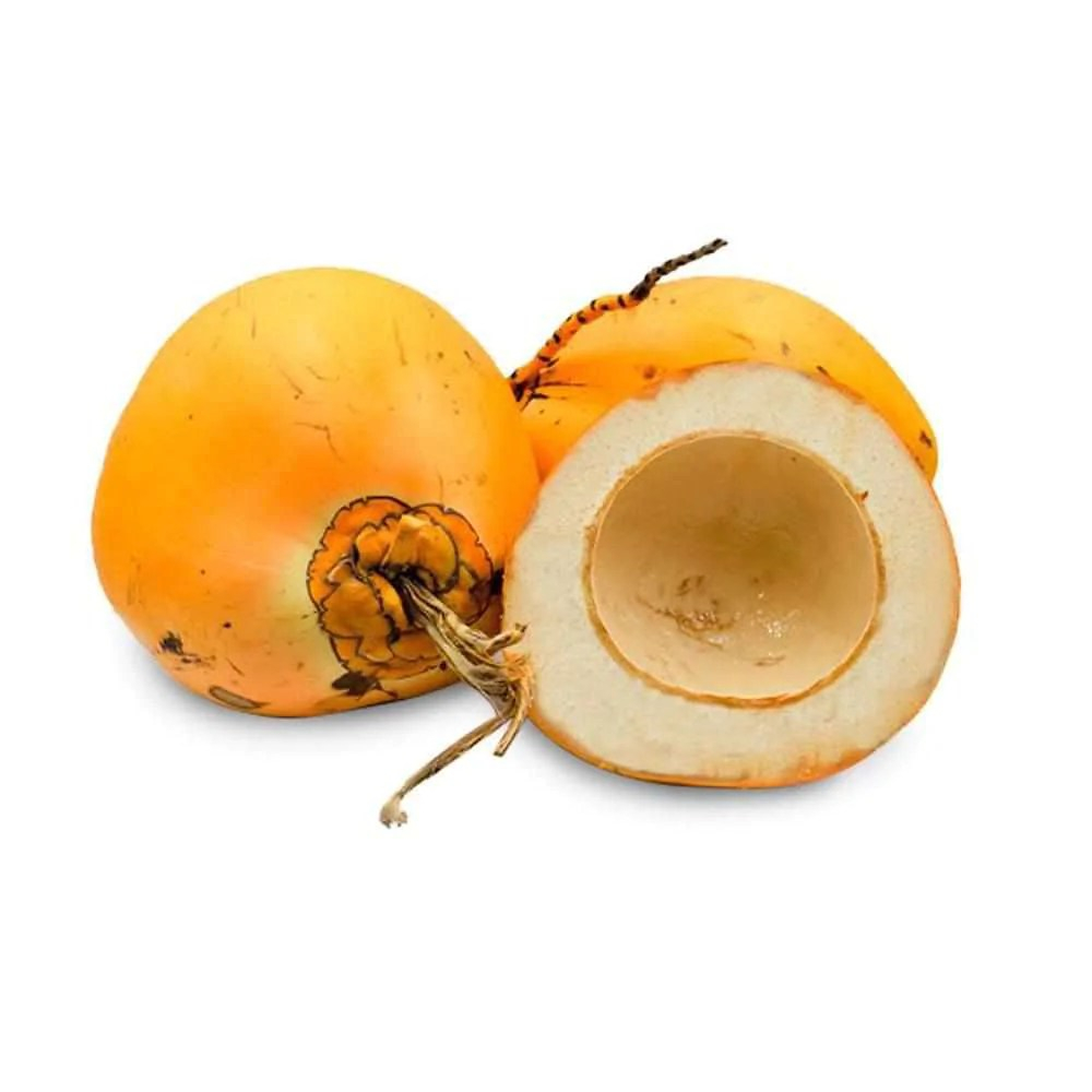 Fresh Bunched Coconut (Mudicoconut) from Sri Lanka